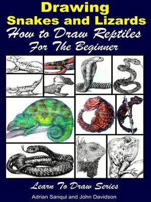 cover image of Drawing Snakes and Lizards